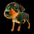 /album/cachorros-narigudos/puppy-8-png/